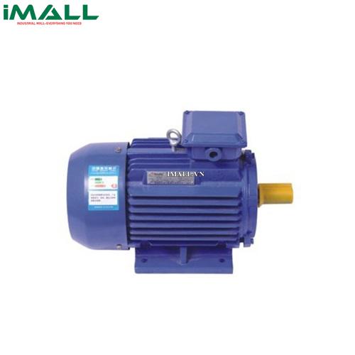 Motor điện (2200W/220V) Asaki AS-607