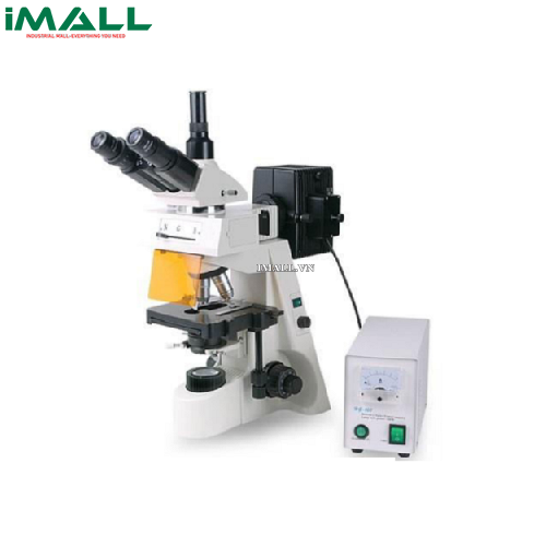Kính hiển vi huỳnh quang (4X-100X) HINOTEK XYL-146Y