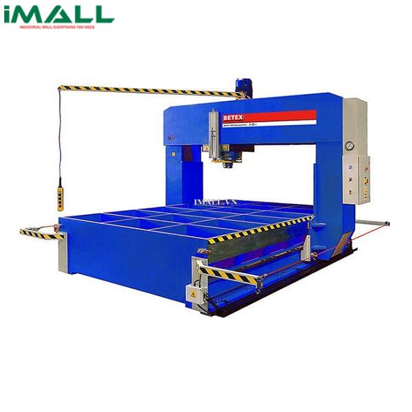 Máy ép thủy lực BETEX PFPE220