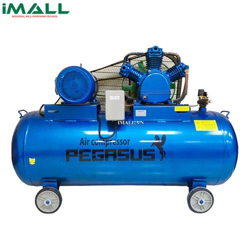 Máy nén khí PEGASUS TM-W-0.9/8-330L