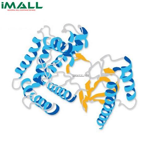 Hóa chất Aprotinin, Bovine, Recombinant, Nicotiana sp., Animal-Free (C₂₈₄H₄₃₂N₈₄O₇₉S₇, chai thủy tinh 25mg) Merck 616371-25MG US1616371-25MG