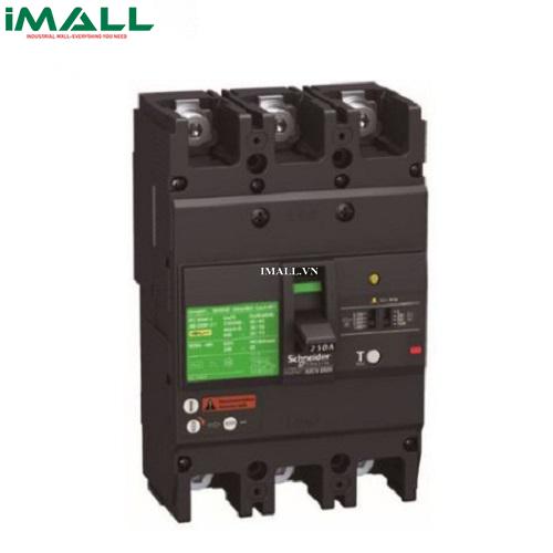 Cầu dao chống dòng rò ELCB Schneider EZCV250H3080 (80A, 0.1~1A, 3P)