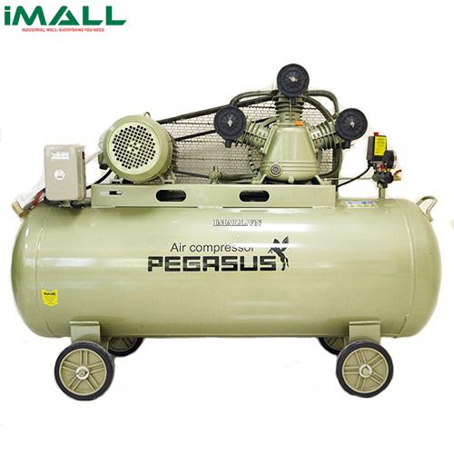 Máy nén khí PEGASUS TM-V-0.36/8-230L