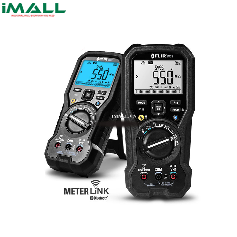 Máy đo điện trở cách điện kèm đồng hồ vặn năng FLIR IM75 (1000V, 20GΩ)