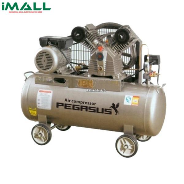 Máy nén khí PEGASUS TM-V -0.25/8-120L