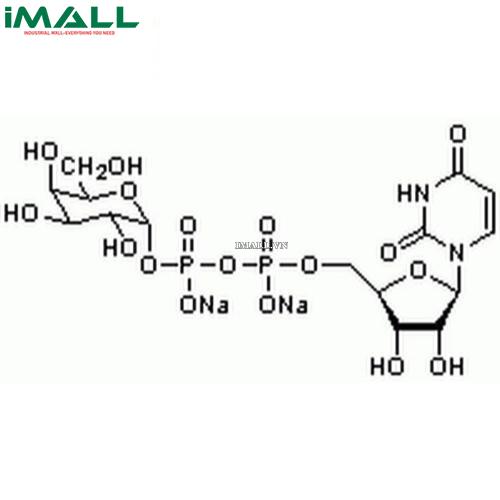 Hóa chất UDP-α-D-Galactose, Disodium Salt (C₁₅H₂₂N₂O₁₇P₂ · 2Na, ống nhựa 50 mg) Merck 670111-50MG US1670111-50MG