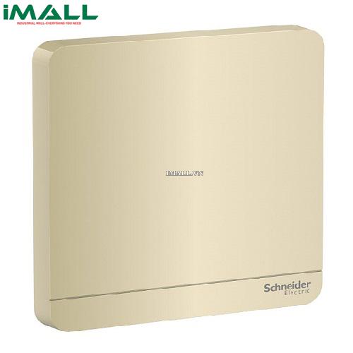Mặt che trơn Schneider E8330X_WG_G19