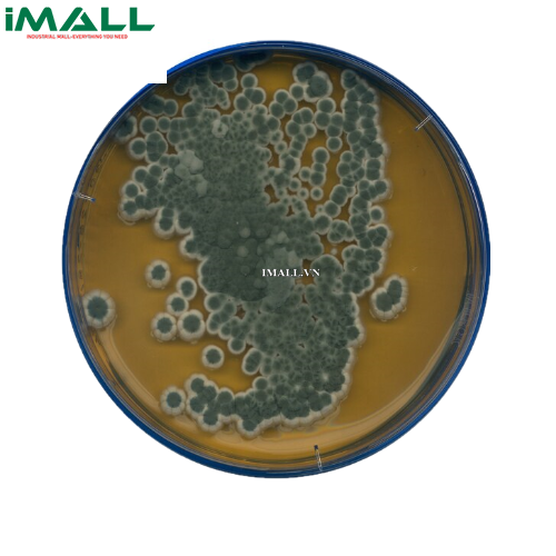 Hóa chất Malt extract agar GranuCult (Thùng nhựa 5 kg) Merck 1053985000