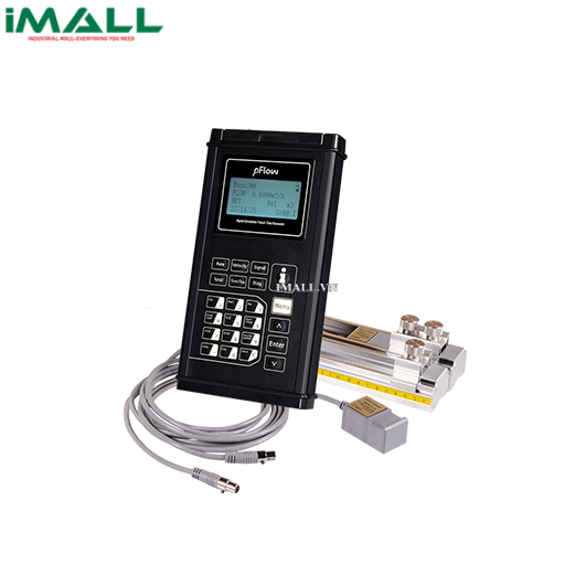 Máy đo lưu lượng bằng siêu âm Pflow P116 (25mm-1200mms)