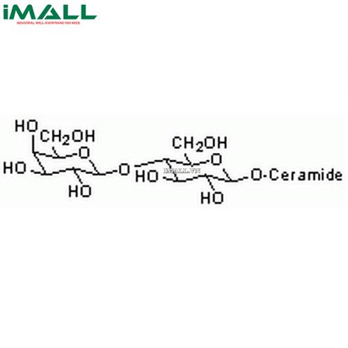 Hóa chất Lactosyl Ceramide, Bovine (C₅₃H₁₀₁NO₁₃, ống nhựa 1 mg) Merck 427572-1MG US1427572-1MG