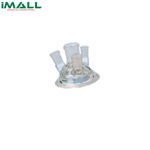 Nắp cho bình phản ứng 100ml Duran 243923406