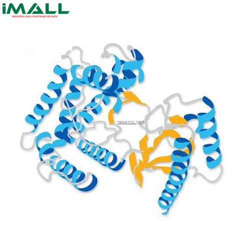 Hóa chất Aprotinin, Bovine, Recombinant, Nicotiana sp., Animal-Free (C₂₈₄H₄₃₂N₈₄O₇₉S₇, ống nhựa 5mg) Merck 616371-5MG US1616371-5MG