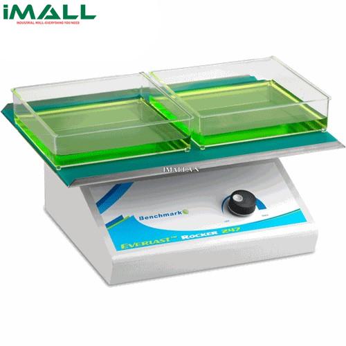 Máy lắc Everlast™ Benchmark BR5000-E (230V)