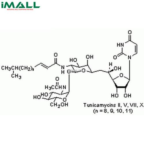 Hóa chất Tunicamycin, Streptomyces lysosuperficus (C₃₉H₆₄N₄O₁₆, Alu trống 50 mg) Merck 654380-50MG US1654380-50MG