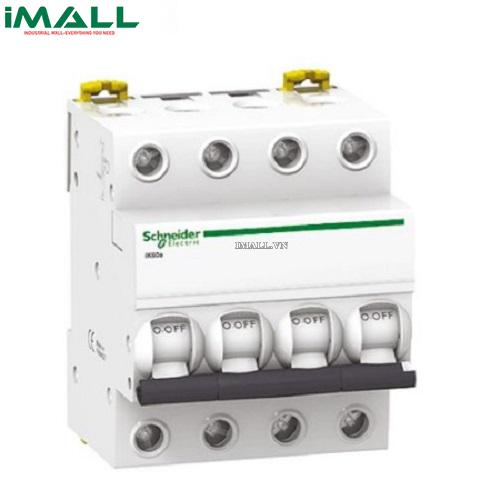 MCB Schneider A9K24425 (25A 6kA 4P)