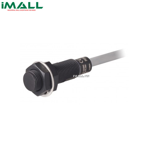 Cảm biến tiệm cận Autonics PRFAWT12-2DO-IV