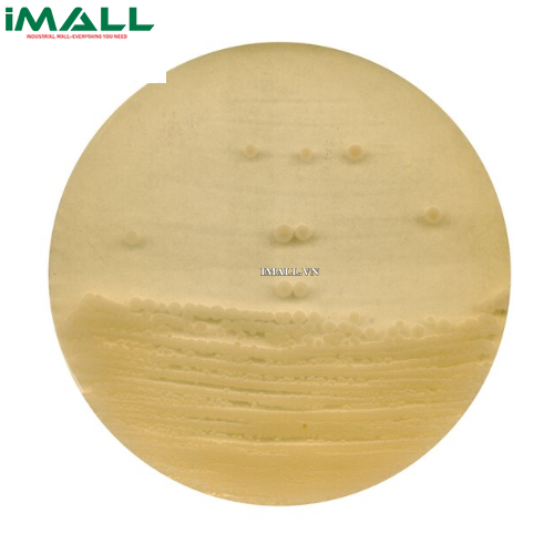 Hóa chất Antibiotic agar no. 1 cho vi trùng học (Chai nhựa 500 g) Merck 1052720500