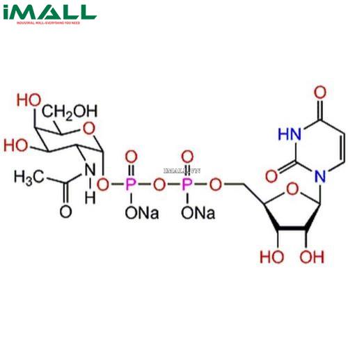 Hóa chất UDP-α-D-N-Acetylgalactosamine, Disodium Salt (C₁₇H₂₅N₃O₁₇P₂ · 2Na, ống nhựa 5mg) Merck 670105-5MG US1670105-5MG