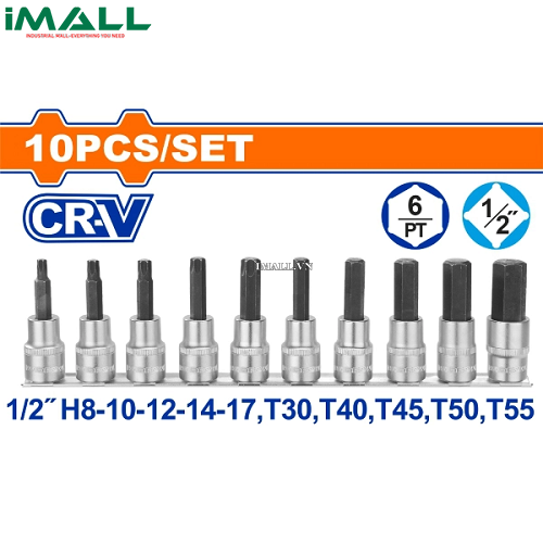 Bộ 12 đầu tuýp1/2" ra đầu vít lụ giác, sao Wadfow WST1412