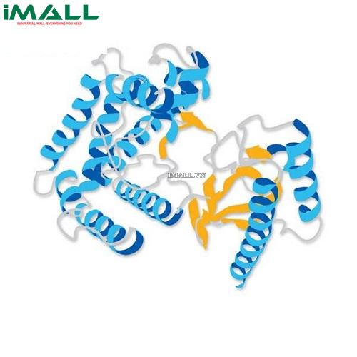 Hóa chất Chymostatin (C₂₅H₃₀N₆O₅X, ống nhựa 5 mg) Merck 230790-5MG US1230790-5MG