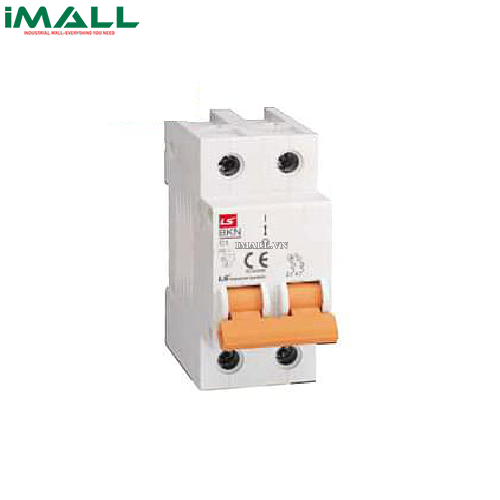 MCB 2P LS BKN-2P 63A (6kA)