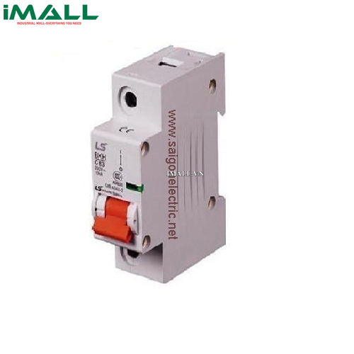 MCB 1P LS BKH-1P 100A (10kA)
