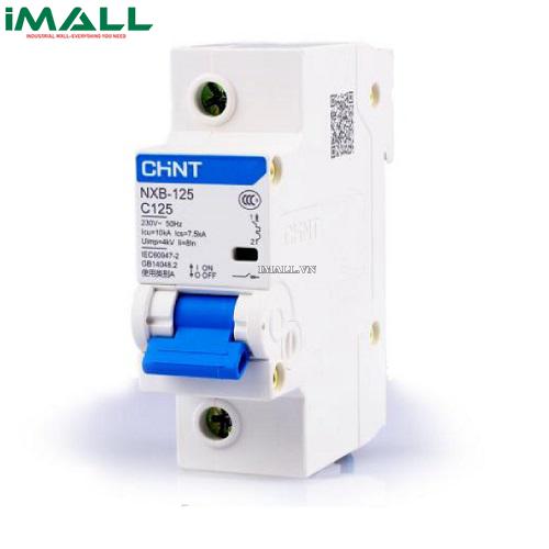 MCB Chint NXB-125 125A 10KA 1P