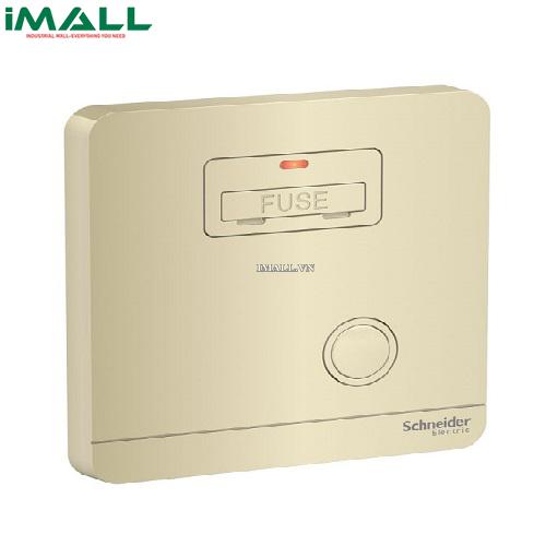 Mặt đấu dây, cầu chì 13A Schneider E8330FSGN_WG_G19