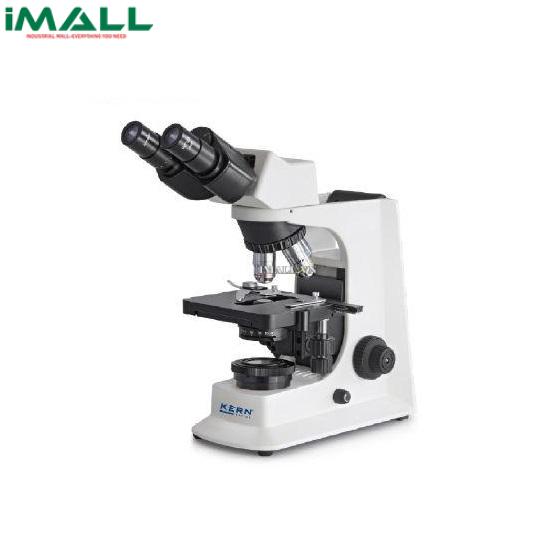 Kính hiển vi quang học Kern OBL 137 (3 thị kính, WF 10x/Ø20mm)