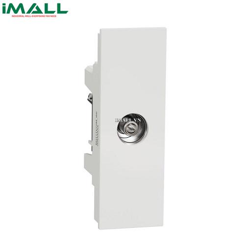 [951787492637] Ổ cắm angten TV size S Schneider M3T1TV75M_WE