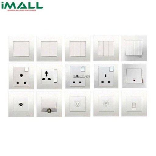 [239214541648] Ổ cắm LS LKG-C PNW